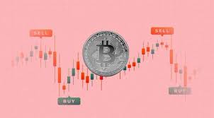 How to Choose the Right Crypto Wallet